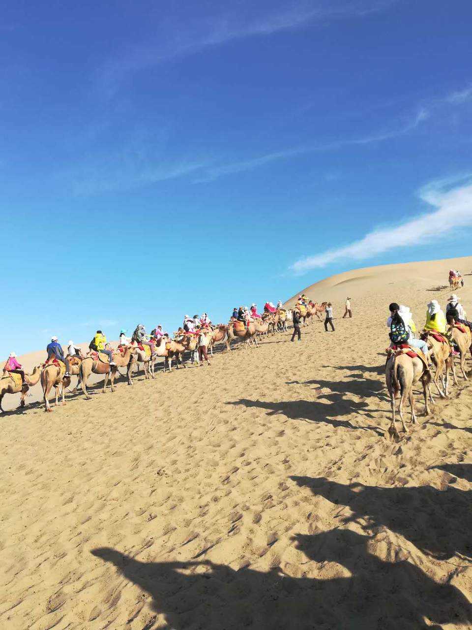 8hmaHGU_bh4poLJEvb4eCoNAD4LvE3ZdoqUaTHoXxjrTKZSJi0JUJM63EuOehbH4