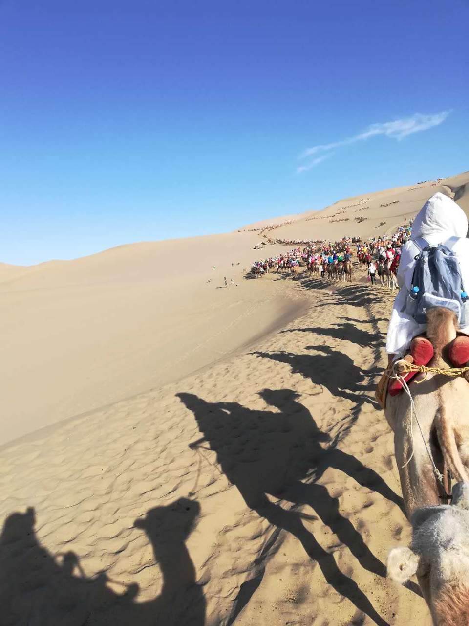 MTgcSUga7MVag8_i7RK78vls0k4U-edIz8vpIByDDmwfsyJKhCWzr-W2ZC5a1kxE