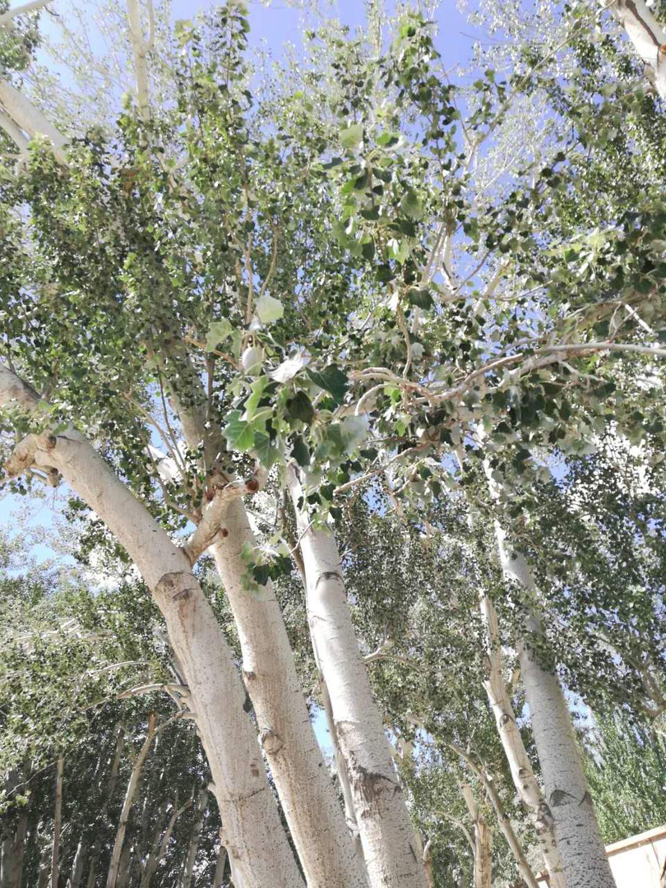 tvEjEqj1sG0txpxmWaJg00y_jbh5XT9lxk_aMQ4MUT5j62NPznCvyGcwTHKDvo1q