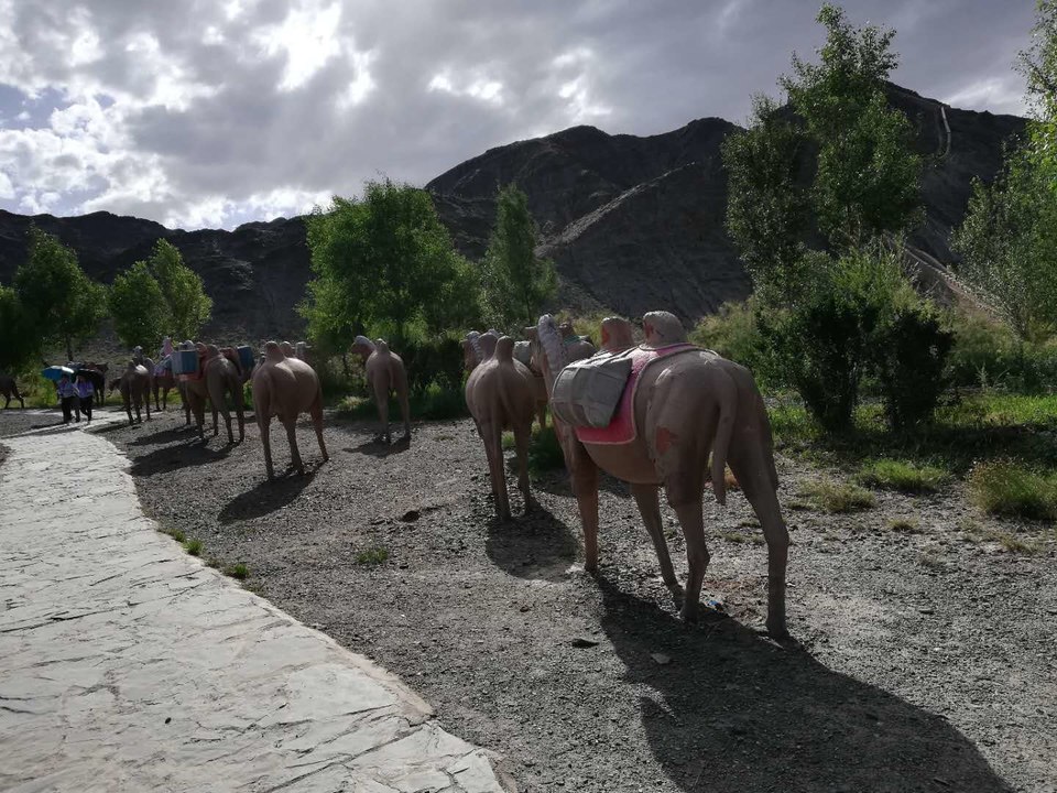 UEdMZFiNfi_L5NTVrx4e5VDt8adwLYmYQNSpx4iDMcoJn_-FbVCEVG3-0tZBn743