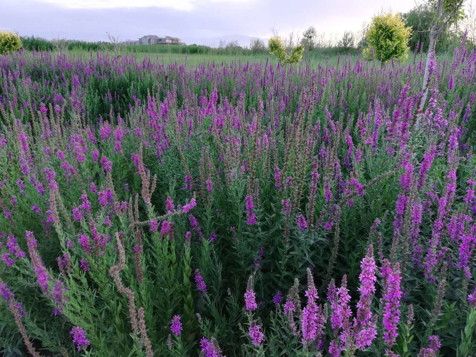 A2GBGIA9H5tMEn4W3fahe7jXslsey3bUEjZTBrc4O-2Z9nLr6-qmBoUHLYCBUpdn