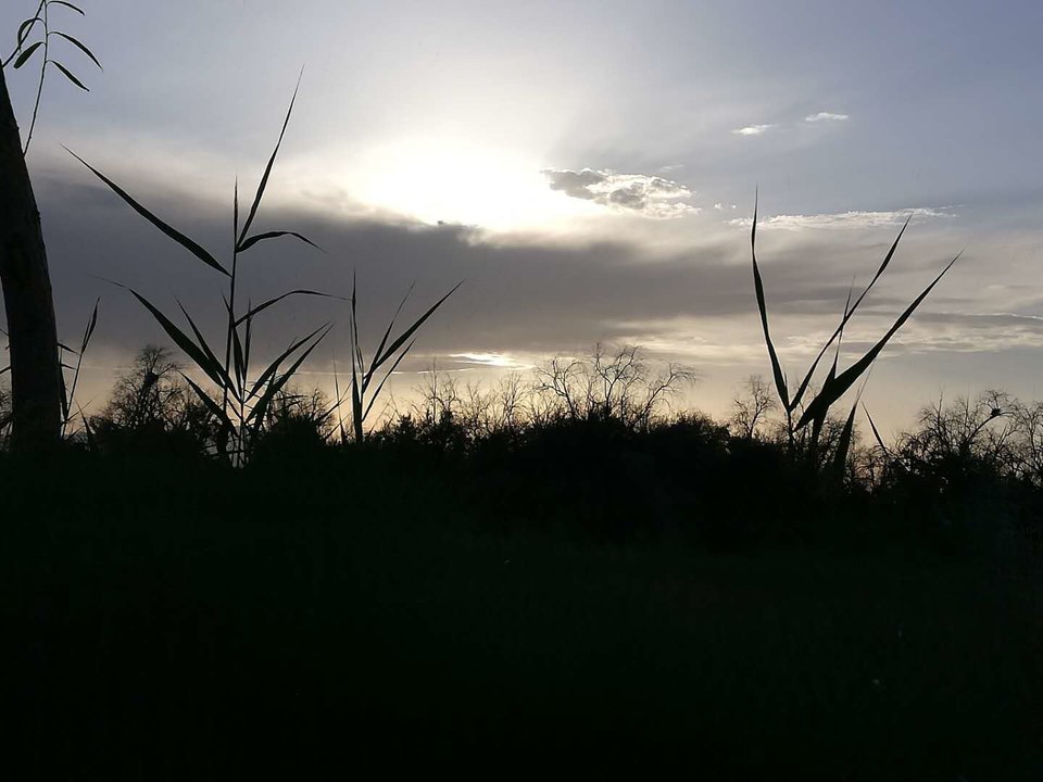 E1MXg5m4k5OLU9gu7a0TT0ct1VqjlEXAQobKyqZjDx0_CsP_I4EzfILgCfrAwWJC