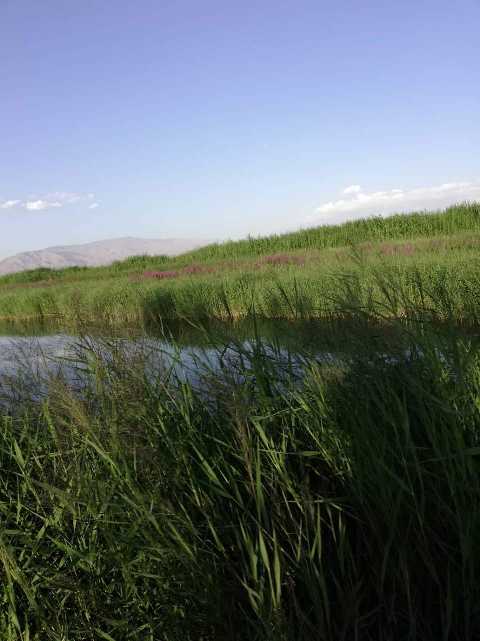 -aDm3MQwkfaqyD6XHs10uco2yc7T6-MtkA8rw-lAhF4kX7Jf5leeDmXdC8I0RvbS