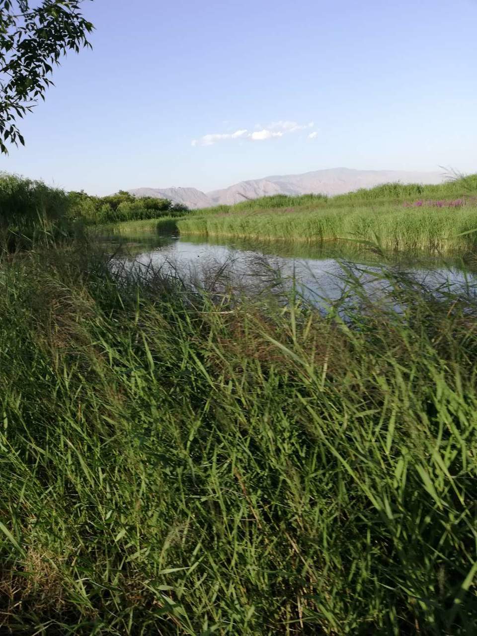 A_pQwNUCoK0cHY_AHmmSKlmwVoBlYGCfIfpt_tvLOPveHX5slg9LJkPRqjMRnZ6f