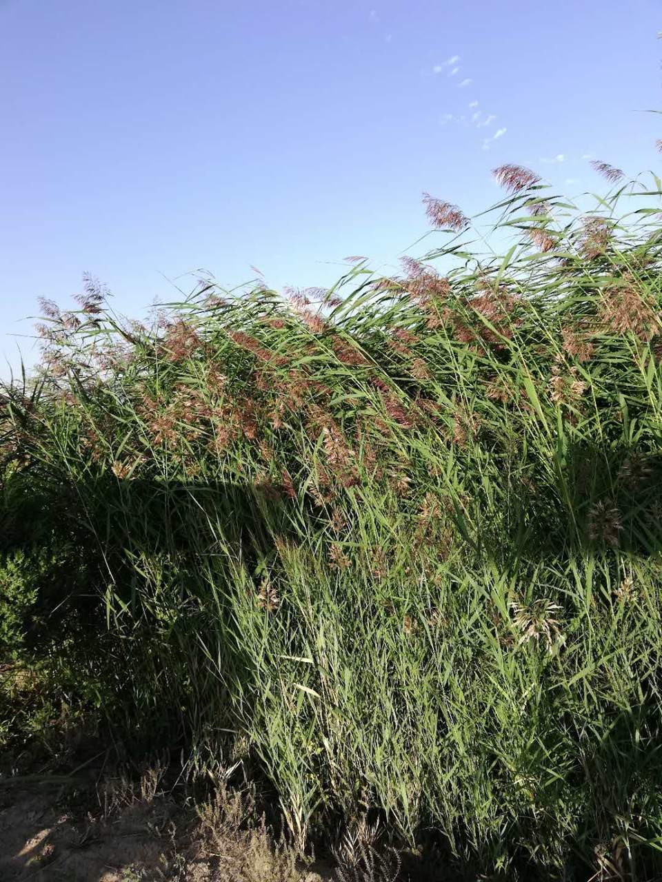 pEOKGV6L3VGVDCAT7CrXSE6Cu6hZjHZgPU6cYInyip9pDfLKv6__pqg2B25G0dg6