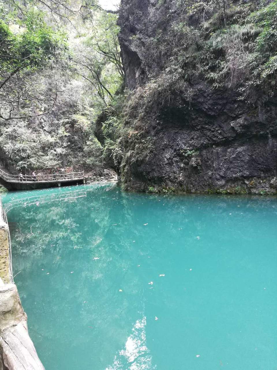 ymgWfoZIWjwYBYlC3vVyvlqYWd1dJZ5pBeXY4kPhPVzyJxHhHt90MGzoajUCWMiW