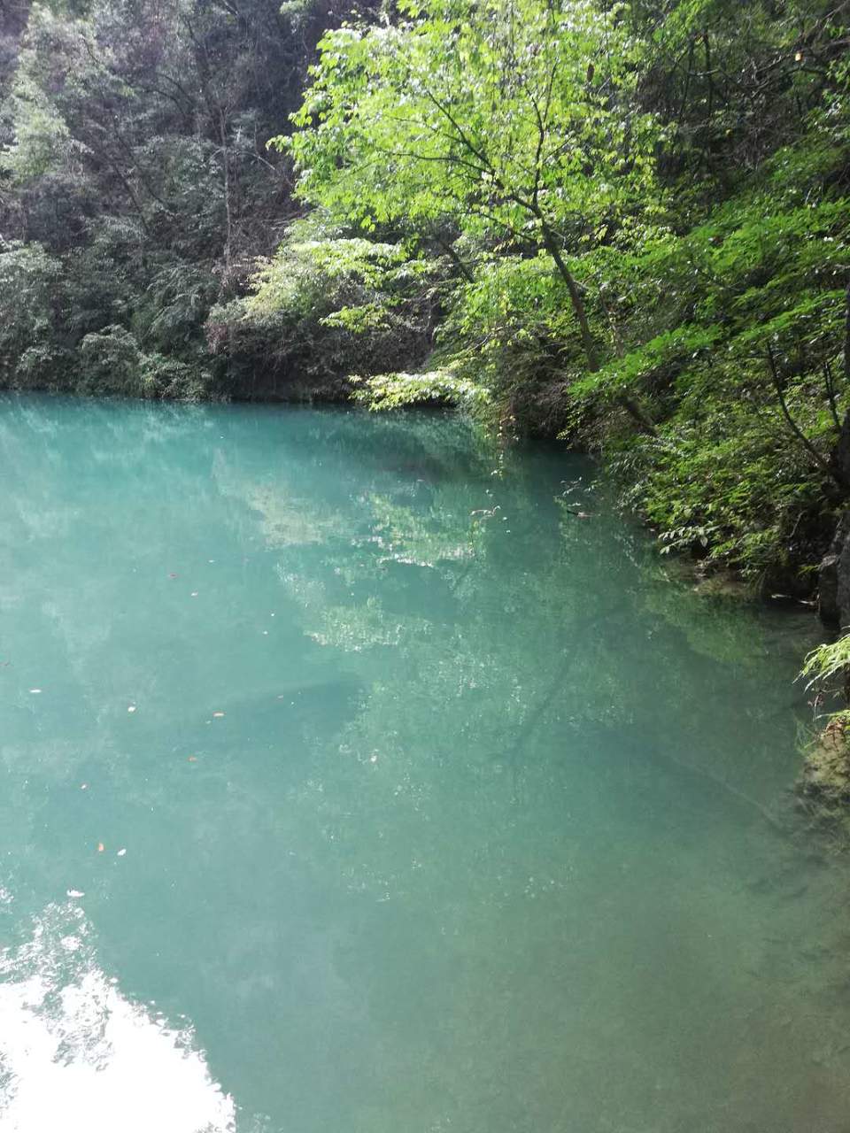 HV4CLNNy28aqY1mKdWcJ681hleP1tiixOtF7kRgtND7oKEvxJMtp6K5d5imkpz6v