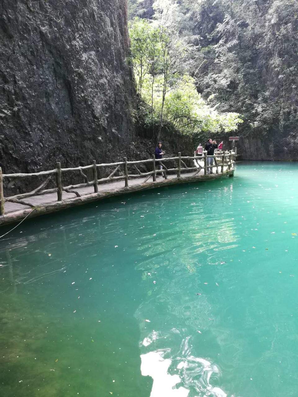 gD9escTXTa6qdAj7SFSlSa2CkUy0PfLoz-9ZIo5KdP6JNV5y-t87zx5uegY2RVo6