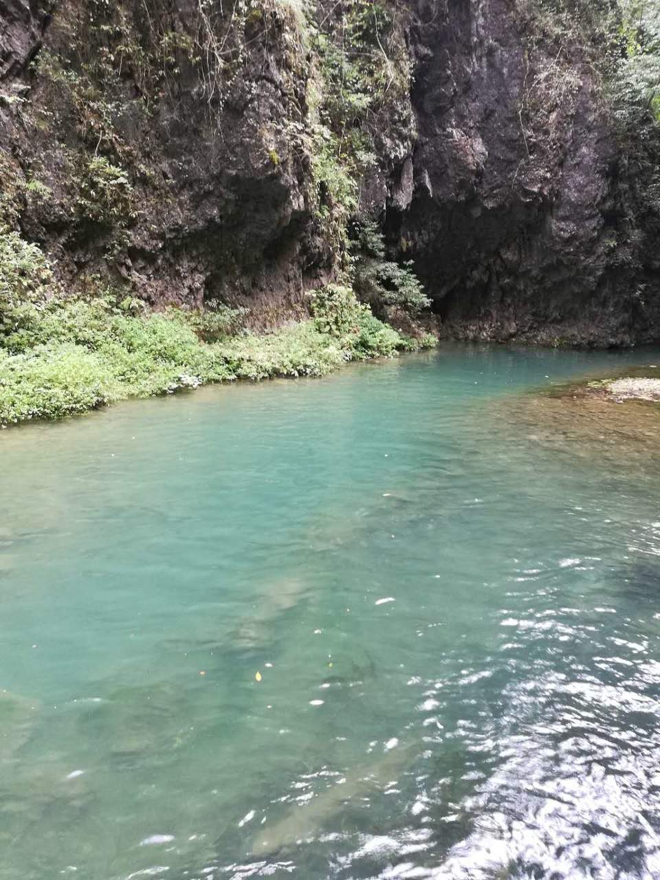 fiD1FvtL8zborlWcxiTscyK7j3GyCSF6TYtOXxQ_xgxVNIFT9832k_9TlK8NVXuW