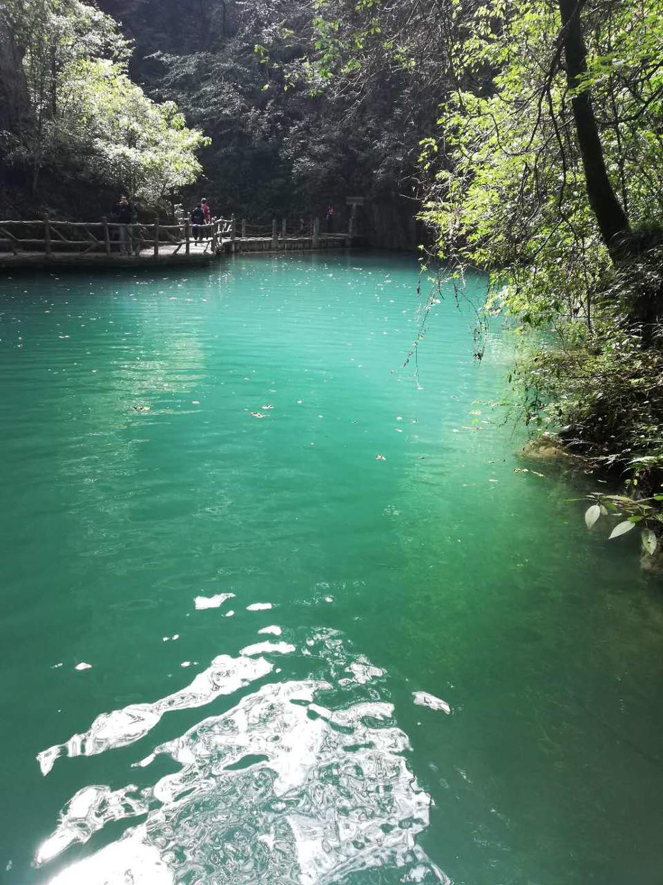 iVPeJxQkZApXajMULCvtan3Gka-Y3Z0ReIZ5b9-4Gxxrb66-edBiEMAFYUltvN30