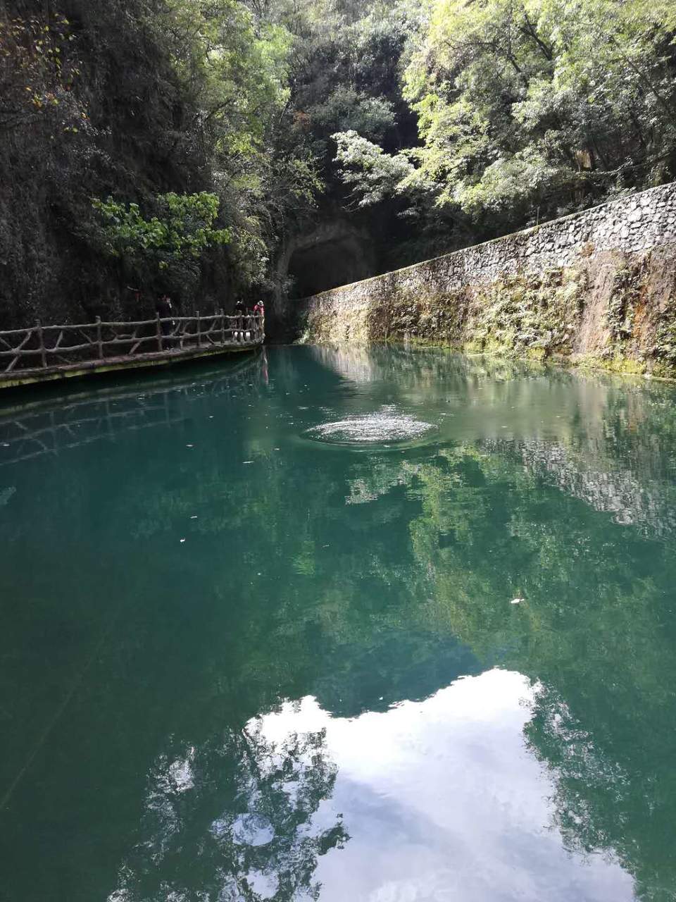 BPDLTl3PnQ2q36SbRG16S669FiXyZNJKXl766V55fHcnhPpqu-ydK-g5KPwUTzNK