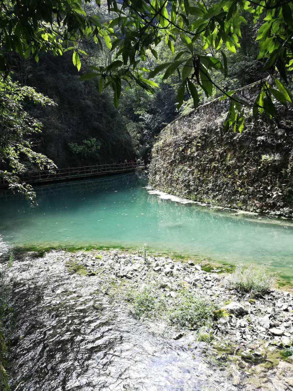 VCyBw9v7-Bt4DrcncNmRAEz4F7QkyDGHddvfGD-UAR1y314ys4TV_D_ZFmE6t-A2