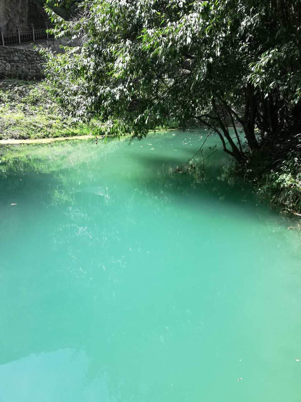 7GtlCHhFnXOyknE15v76GBtMHm1nMLqxYKt_TwkrMLZ4DsTEsTLC8U7v0yP7klAI