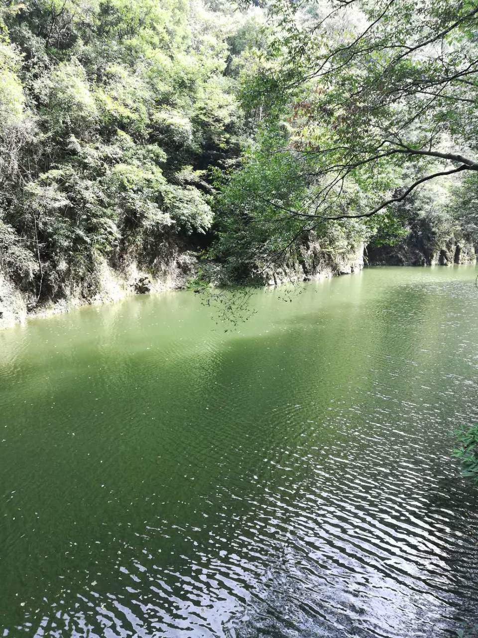 0QLAxDATSUdrgBeLkGnii7hTOg2pIhn449F0sE0NUP5Moxk8nk0N1I3tEzC0awfU