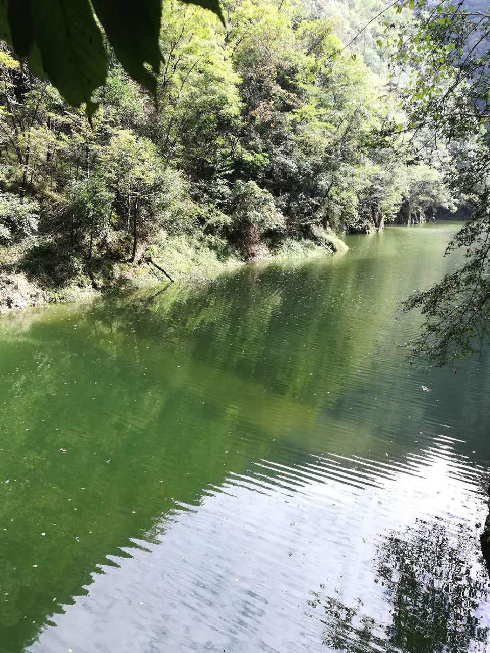 j5ALpm5182q6TQFZ8f8Bi5NtAiZgwFC12PiTu6GC65wV_W2Hwej9VsDgeeaQ0X8e