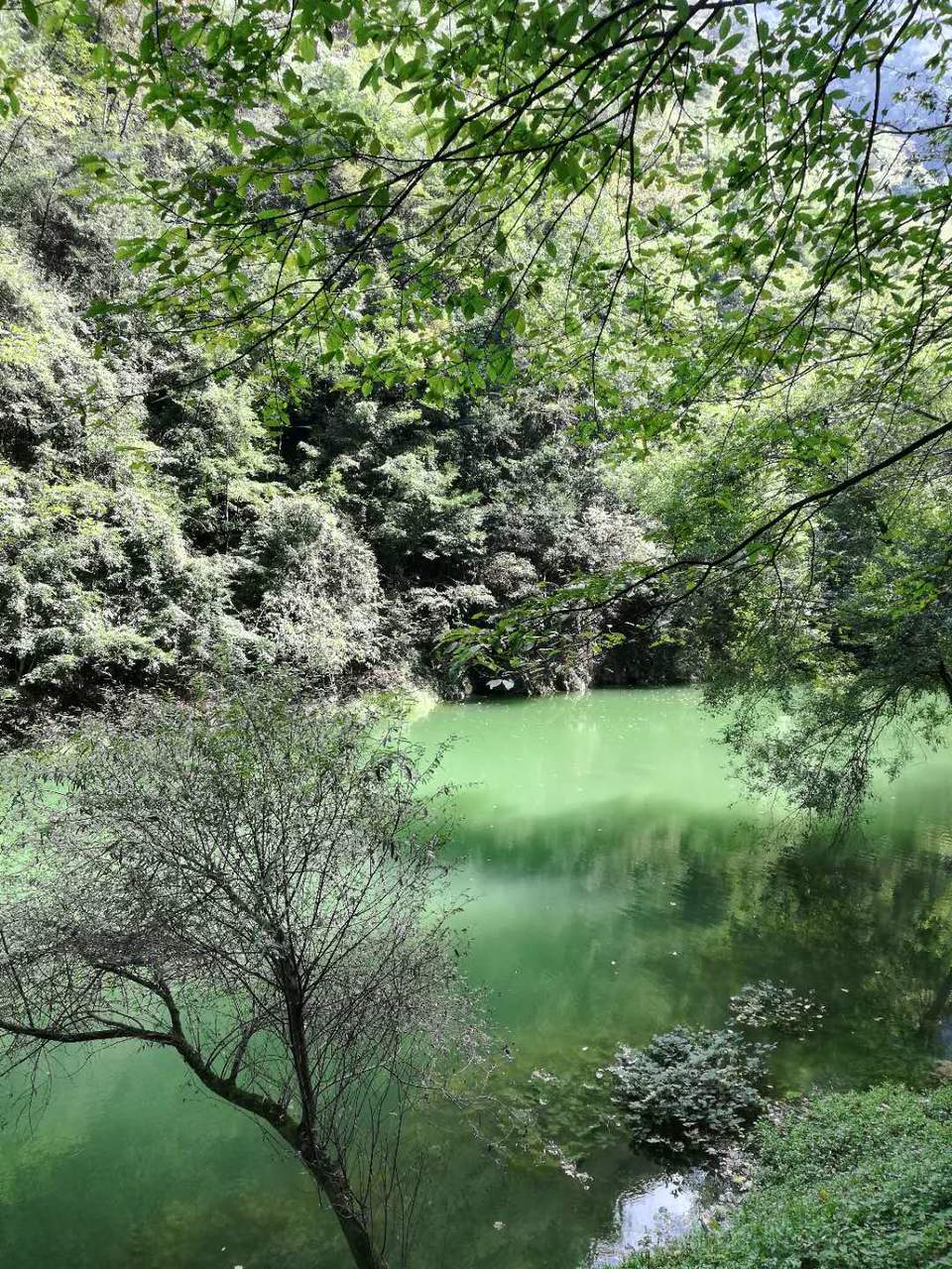 MjGaKu1BjxzAlyU_9X_eqO_6JTGE9UeXNdvDuSd8Qtn39Pk4aKiF_KPqjIz5KEM7