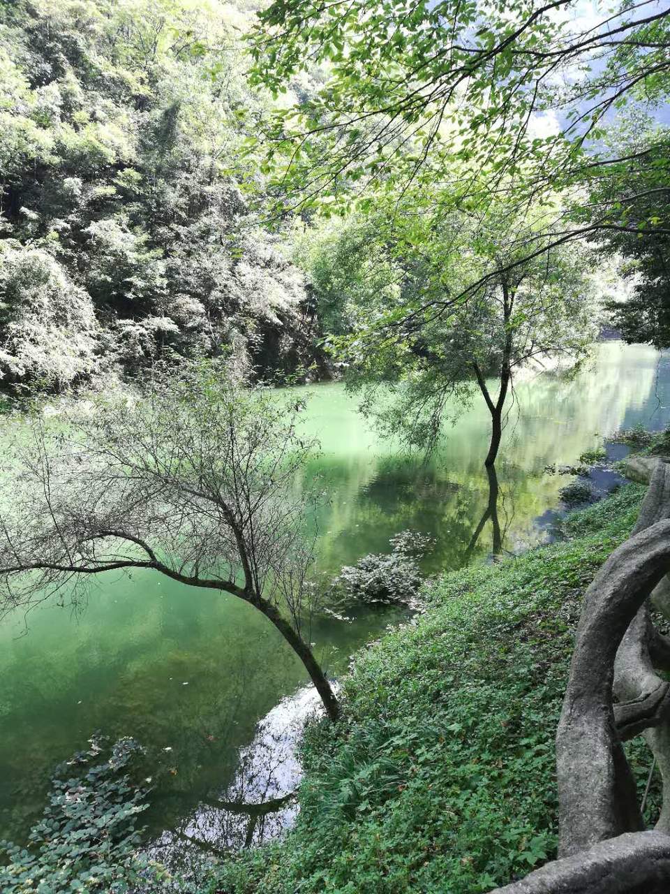 CPV7b0coWtzEJ0cH4S2rbtVHd3WVCP9UH1dftntv7U5jkbzcdVJ5FkNR8Au_XIM8