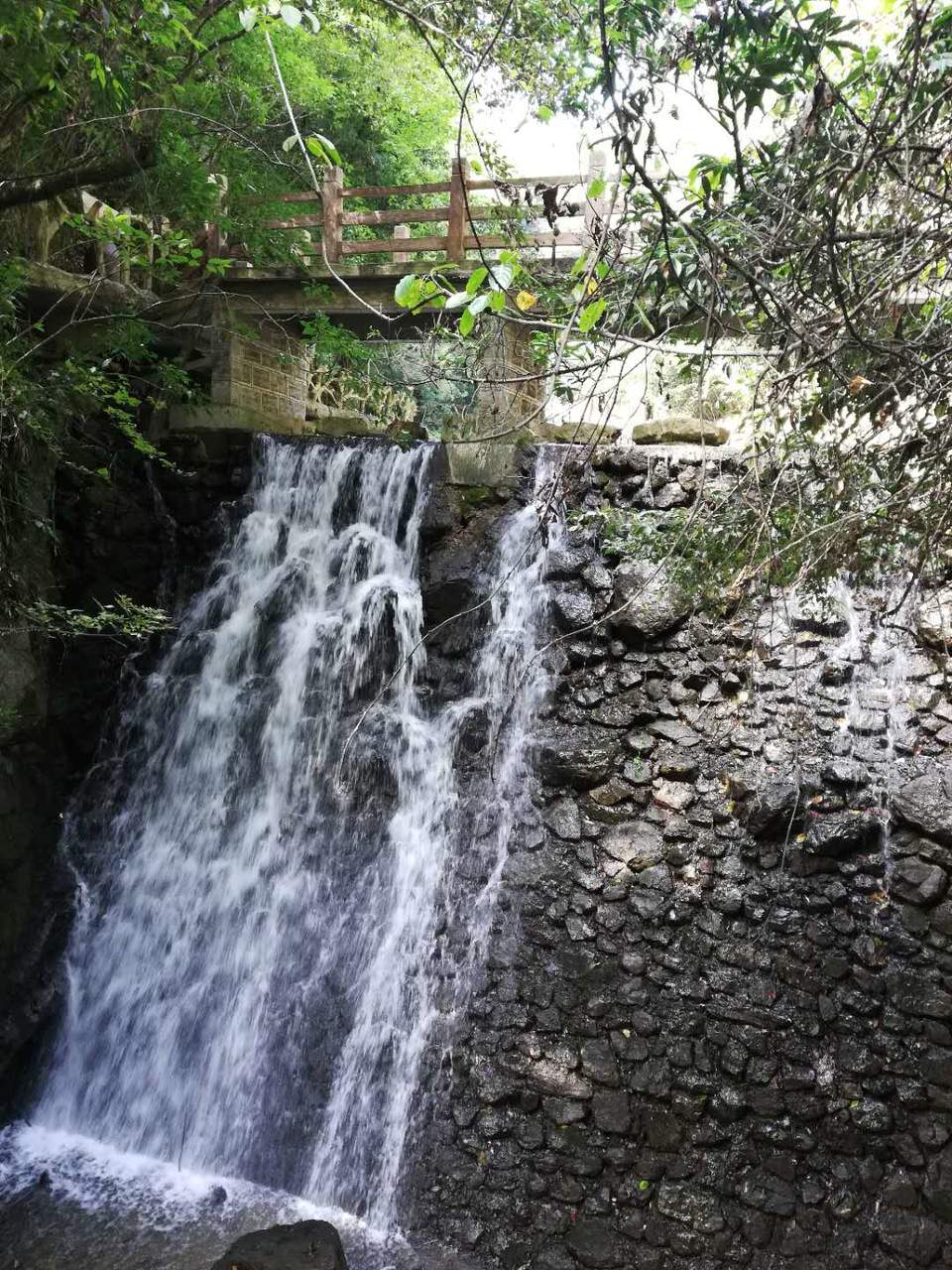 Y4_luk57KjAPgvsLUUuB3Z9CEHExXjv4B2O8jVJmxQIDT0wkW6xypVtt0uVk2S2N