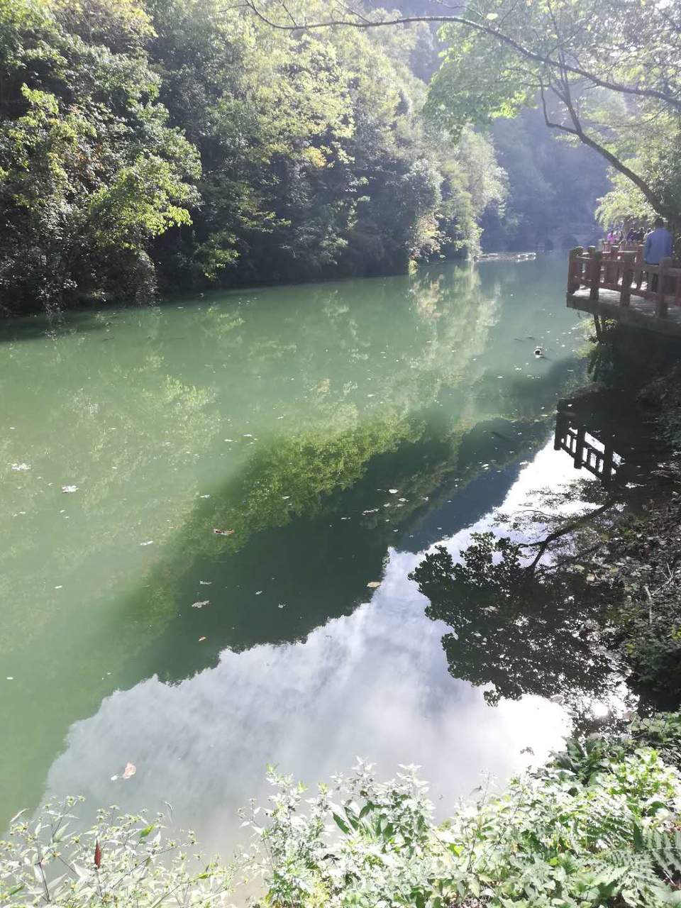 31Qb3lSIIy3xV1RLadkll17JYnrtMe7D-fdT-APEyixwIzIeQaNYN7tpZsozNLwX