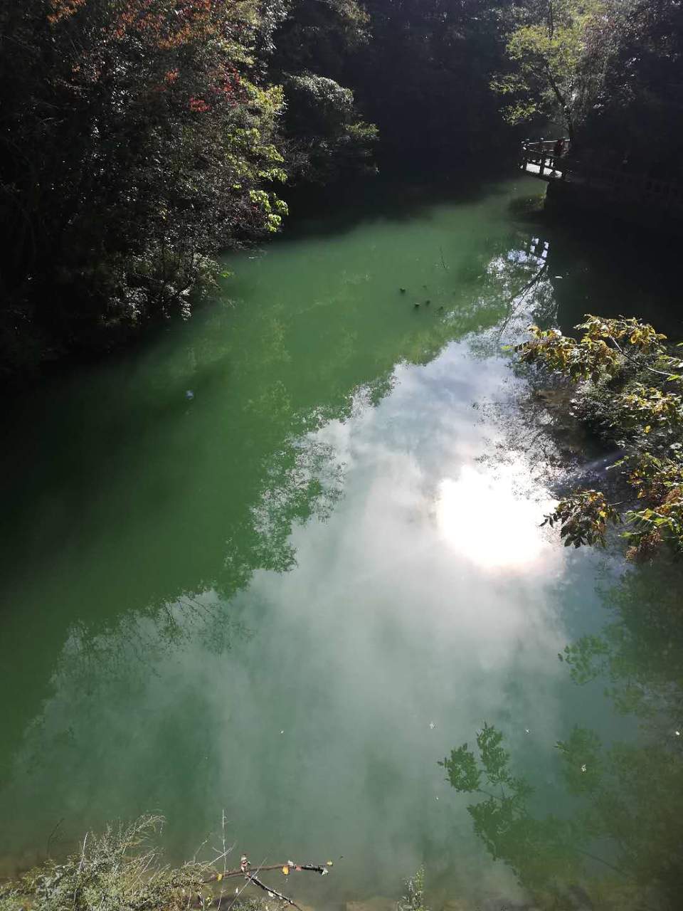 O1HbLS-eCA_erpodfXOXn7FvD7XzXn6HPFI4jxwmMypQCK0HquXQ5_4-8ayl2Xs9