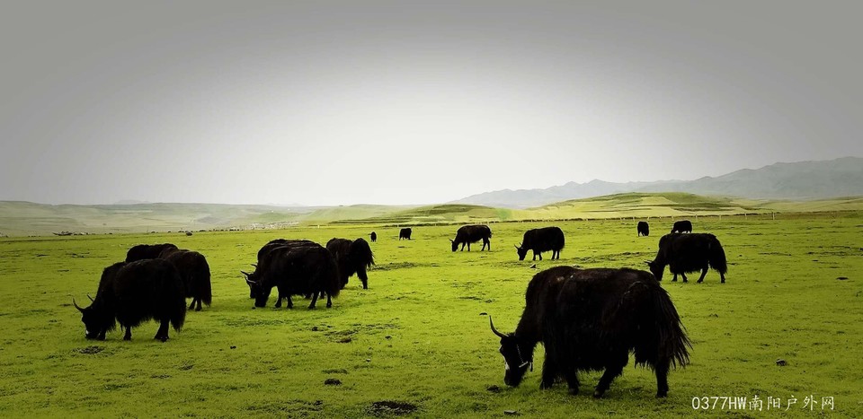 XsrNJ10Od1Dv9zXNMC17eZKM0cRucqEiMbnkvQ3Cj41eHqu703Mgsfe6IWlEx5cA