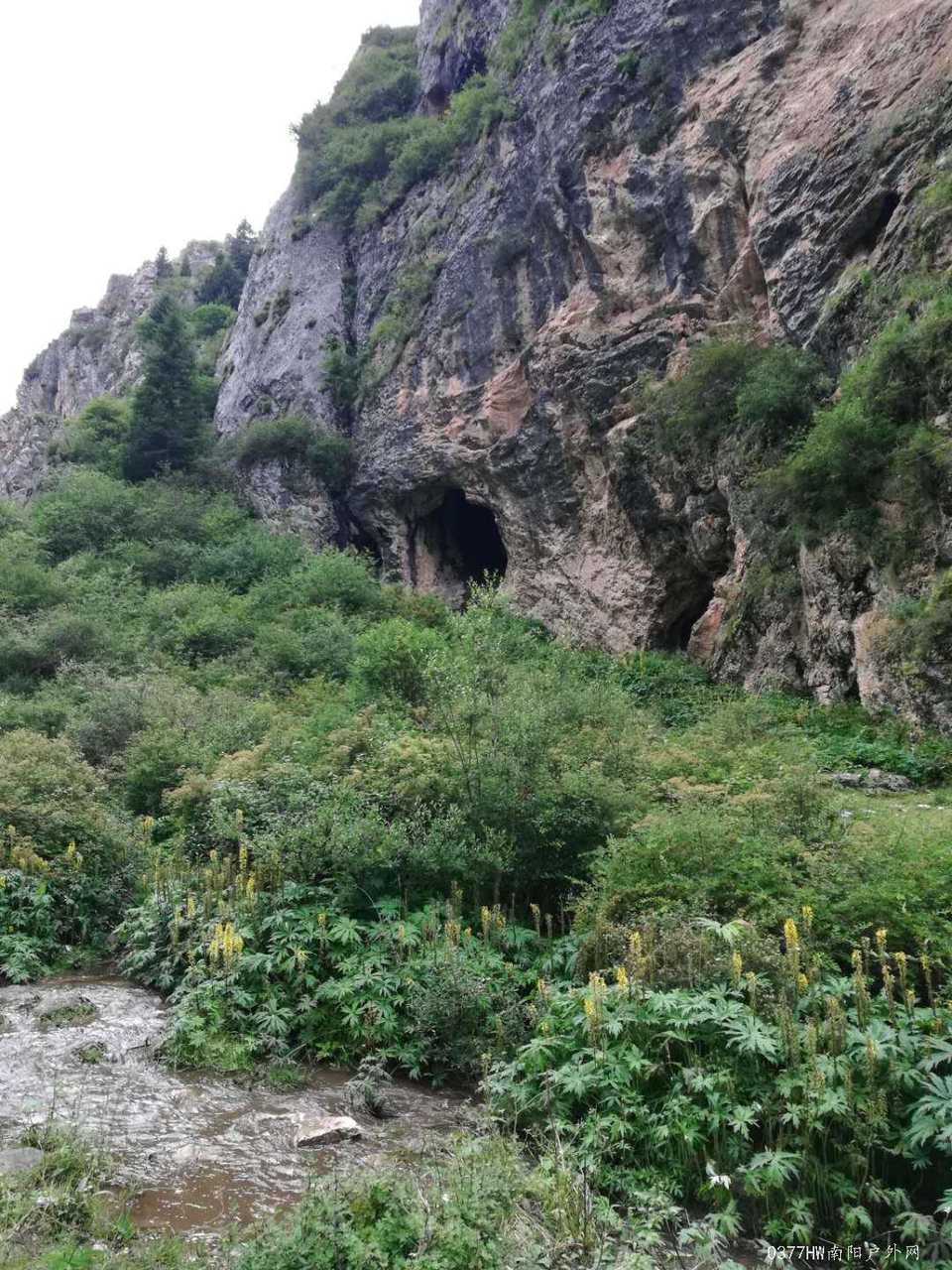 1hGVbnjfd1ryiS5BurHIjQRgaCkNfCj49om_T70cXArvGb_7yWXjenADbGPkn2LW