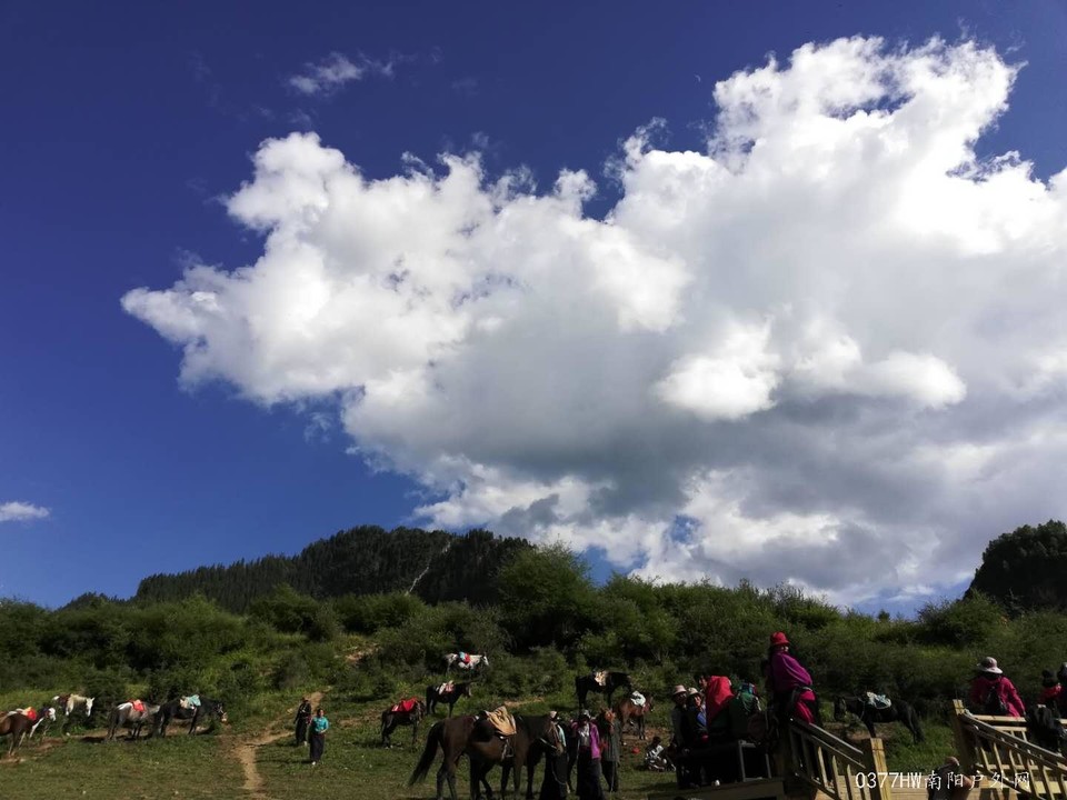 wRy9EOE0ghN4SdSgQqQDu9DA6U-9BiiCBcDT9rczGUNRmSIkLIdh0WsvQMLWuW3b