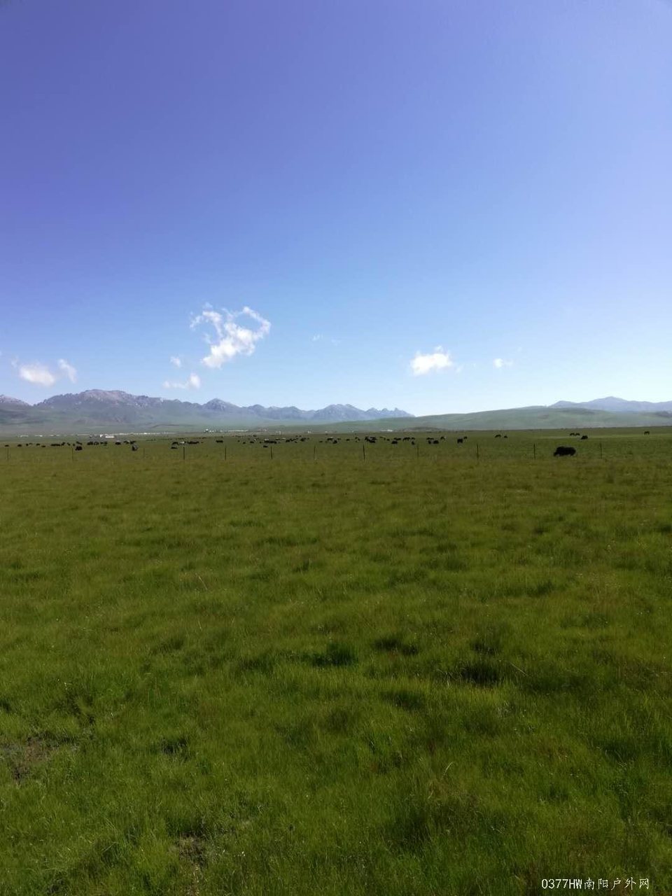 BgODGvnBvAISfDMDsnY7dcou0EE6w1_C1FT2t0hJTq_DALaFobw8fBJDFZvyTJWC