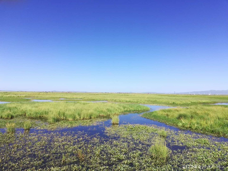 Vr2wsFE_is88QoEmfYKEjIrwo1SYvmyi2EJg_-7bHm71n0YYwo-cS87stk80CjFO