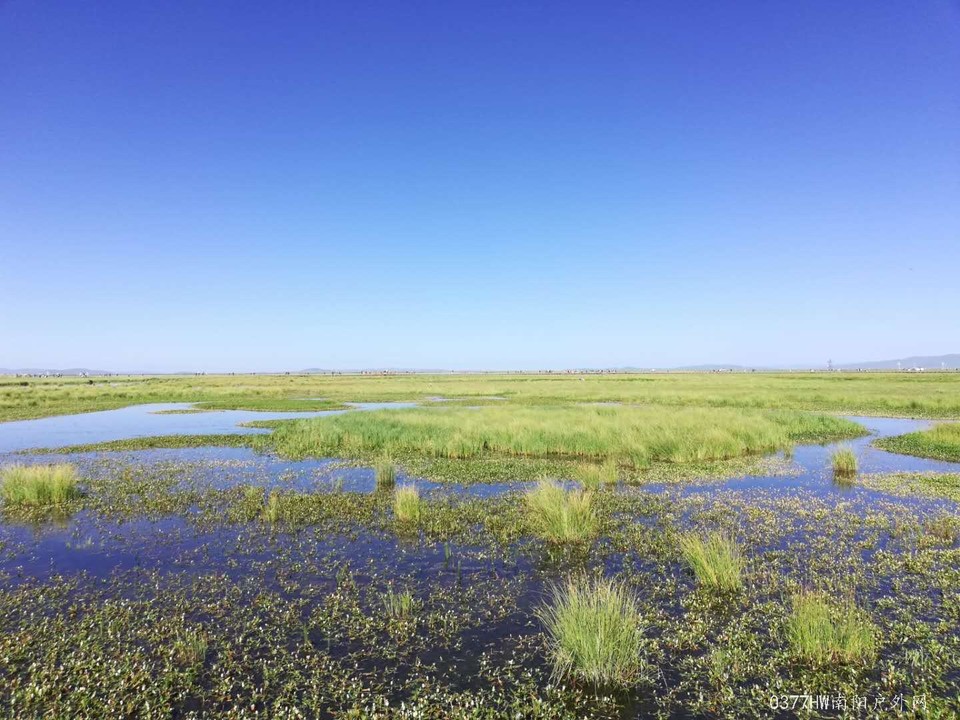 yhSwu5A25Ik2KL9Ndw-cvz86JYzz_MdRsSQ9EawRBXGUxU6dci4Dwq9ivda-m4Af