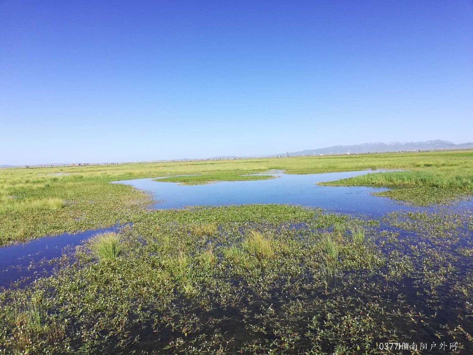 gAMcvmj0c35wMAEJtmFFh8GxiTcBirjHHE_cCHGXCWFUiC0_TnVECugRiQdV-9Bl