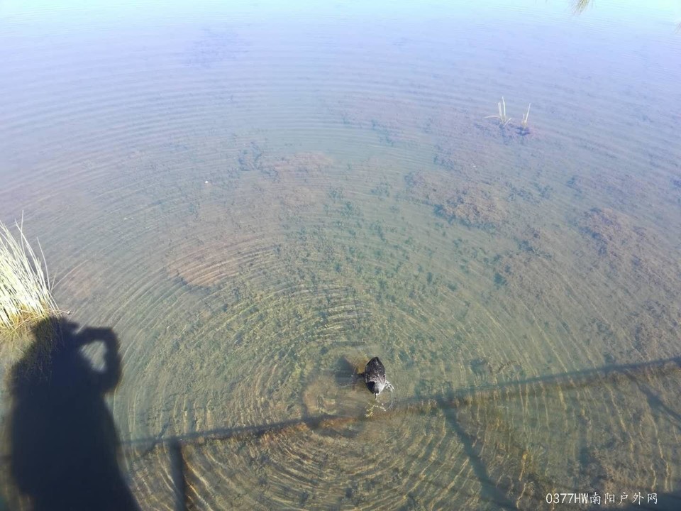 sv14iQTc8W-Cin0L5c7tLoFZ4lqGmLvbo-fWtOrZVqCgjFRcwUMn-zHTjzOAlnbm