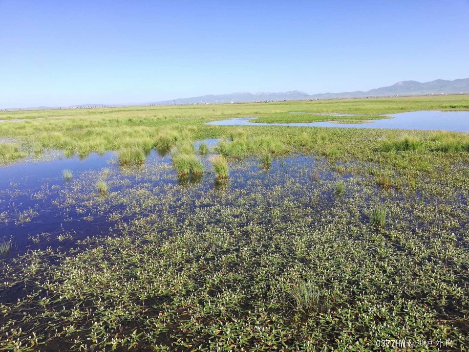 52XjrENyoDPh-Xdbh_y0IADBgLO_WcAgMwoLZf_q3LHrtH2zemAWOFS14FmLRrI_