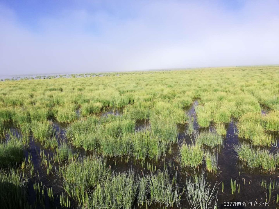 wTSZpmB5Be5HKSumzJmDEQOJVqRPhZXycvQOo1joqEflAZnLSm2fU8v8Chhw1qib