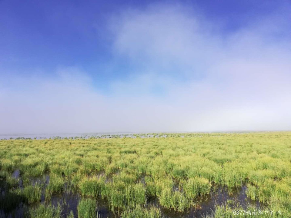 i64X1ti72p_dOWmXnKif4LGI1bHMNH3eE0Era55Xsak0-illri1xA85UPZ7BZPNl