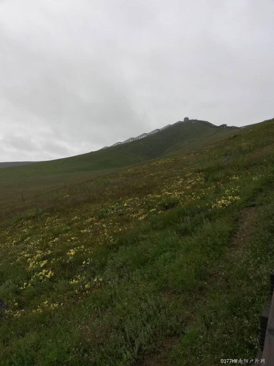 ngz3UwdQzfVHHN9R5j1ZZUZKNw38GdvlTa-Zy4ipcJc0pDWznaxN9-HhlaoP5Zce