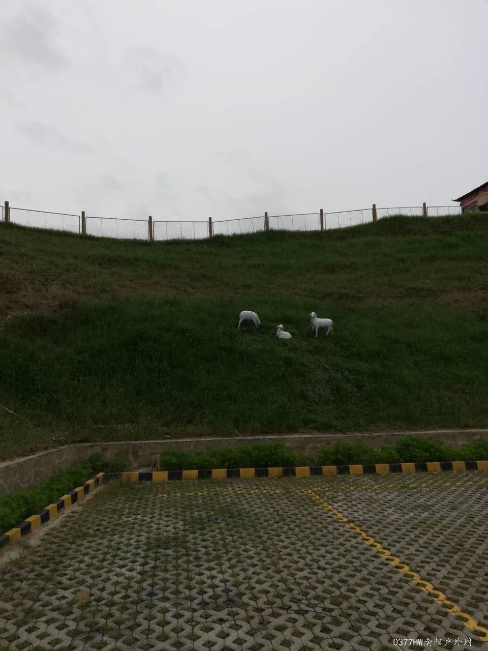 oOvDAk4qiFuYX7I_ygQ84VZALbo_Q9V8n8VyOkcYU3mt_V8wYPqjC7eDrfjq23uO