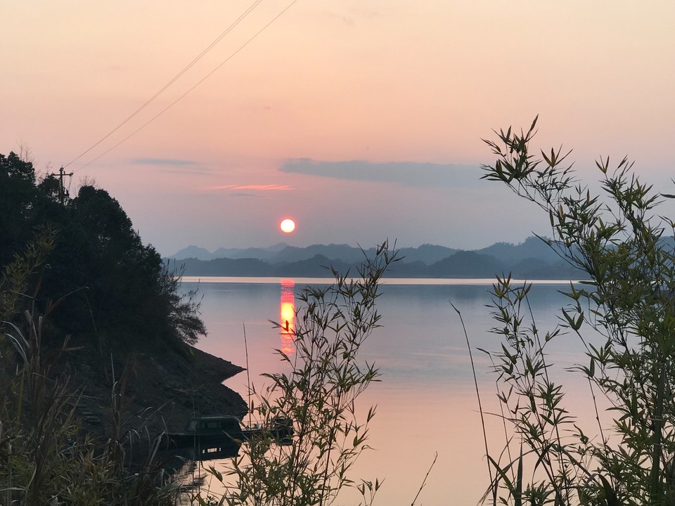 2566D1AA-CEB7-4C4D-BB73-1676FC202ADC