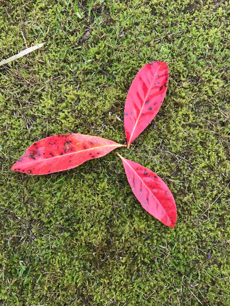 7F41288D-05D0-4EA1-A091-7B1E722CBE5D