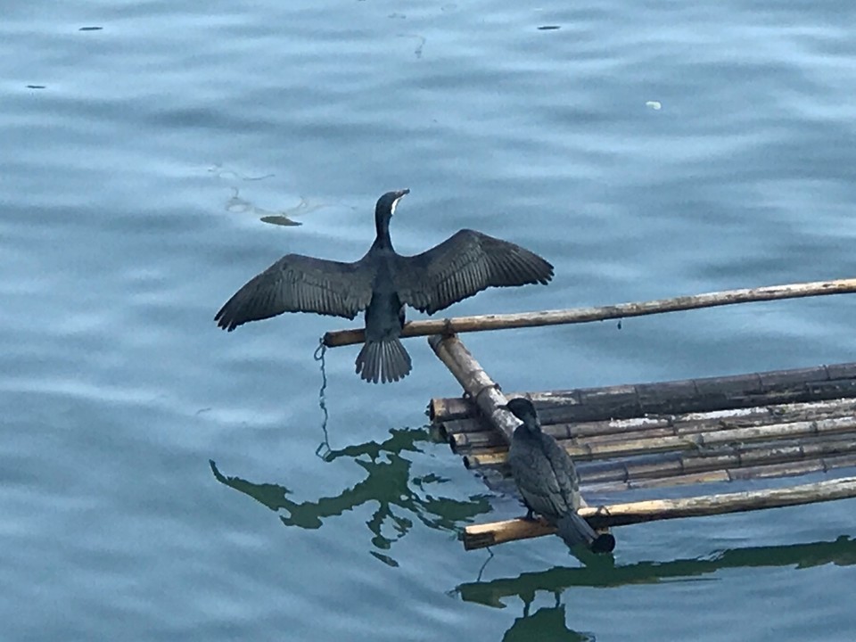 053AB48E-5EC0-45CD-A0F9-AA7FD69133CA