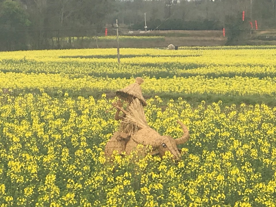 B90C692F-B664-4272-826B-277DBB460068