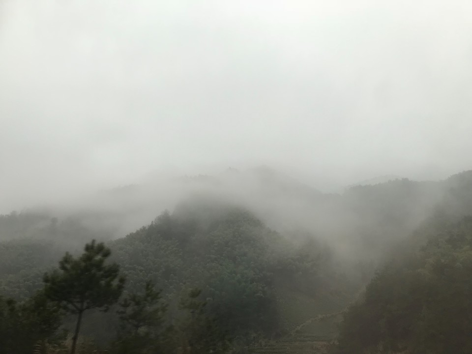 5614924C-C15C-4FAD-B313-F5133EDB1CEE