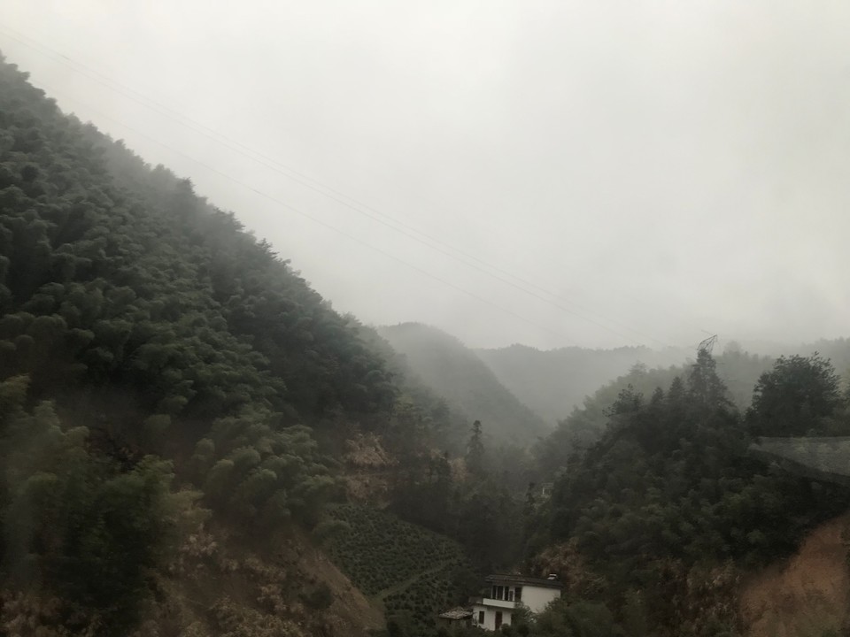 44A9029B-C5D3-4530-AB01-CC1B2004901D