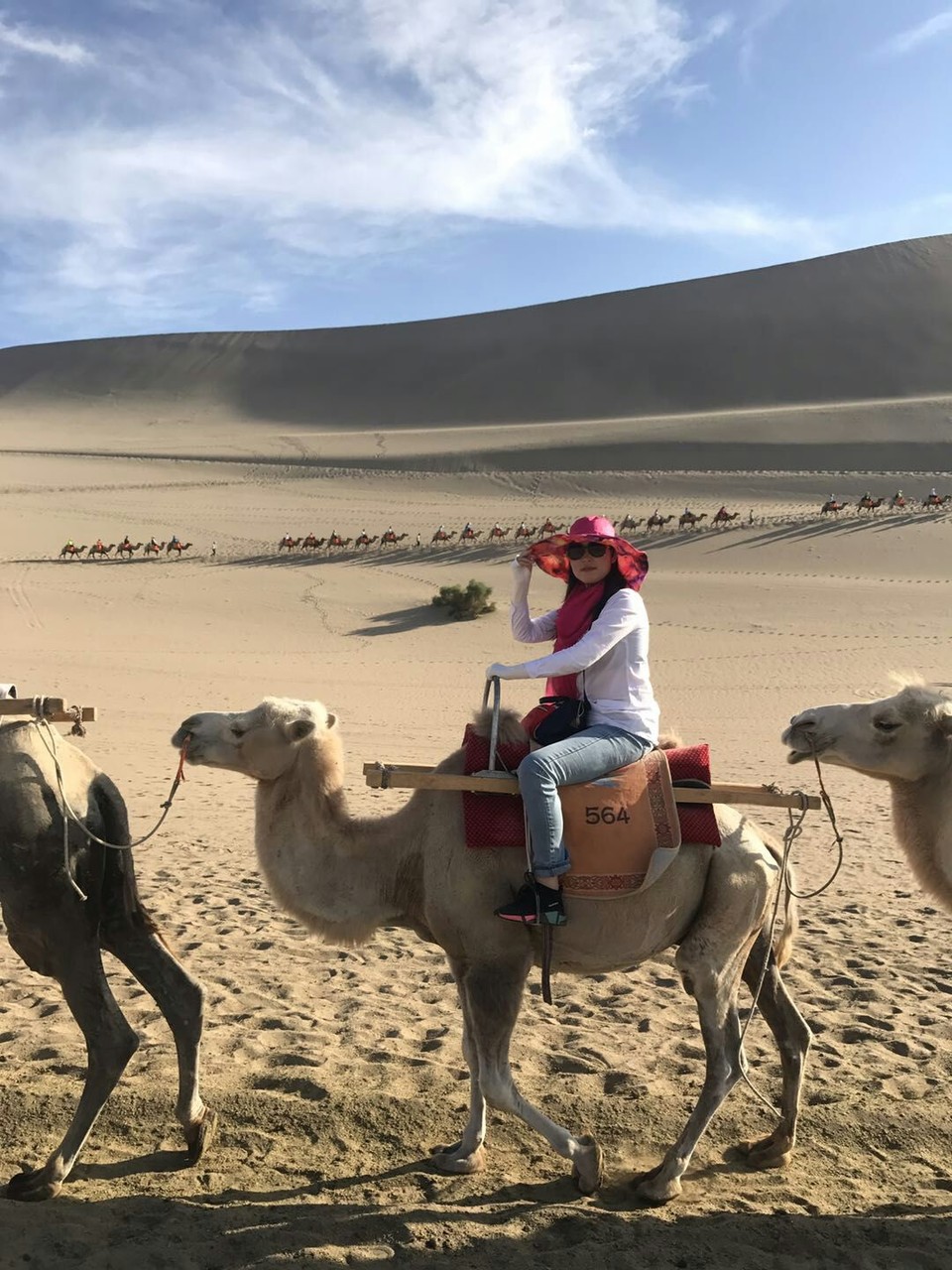 29jVYqvg-tQpiIbTAJIuSZ1In_JBDLP918C36q04Iwo3xjLKH8d2FuLvII3zcKMD