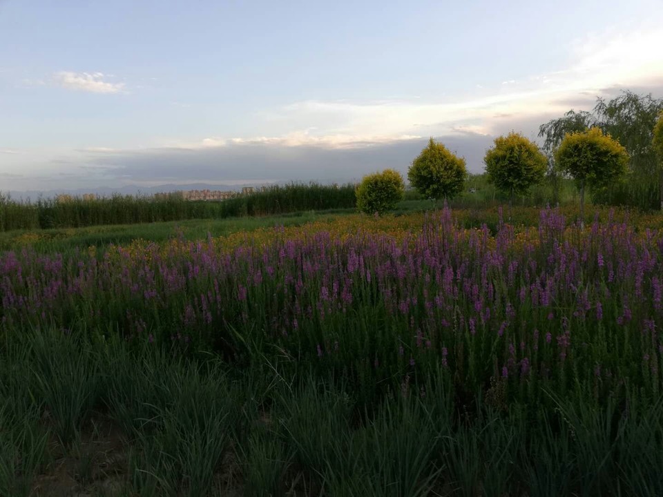 qcAUC-H-3jJsIowKtExHm3GDRx1kyXPENJ6SIbChW8CWFZa7U4uCnGTisozyMdGl