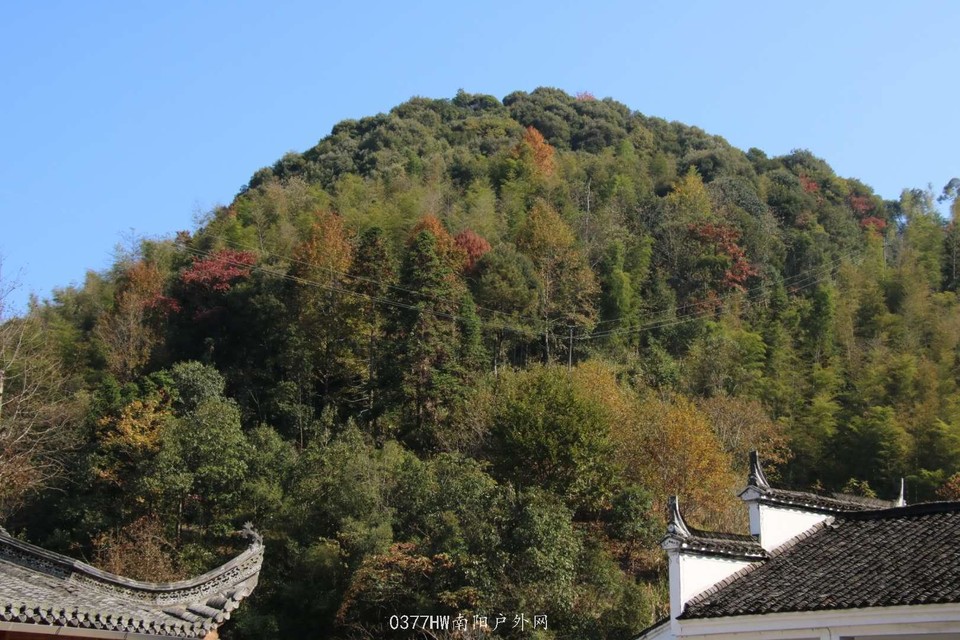 IfI91_d5rp-UZXZMXqbpEeux9ylcNWQRxKtdBfn5nnCWOI-6d5cnx-2JMA6Hpe0w