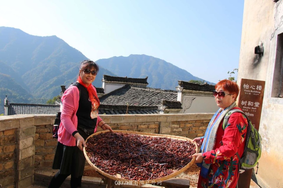 QhMOzxmvtYpPA45K5fdYQmIwRgH0_qa4GTCSscuTi6v3ky_XlbQd30I07XTtwgI7