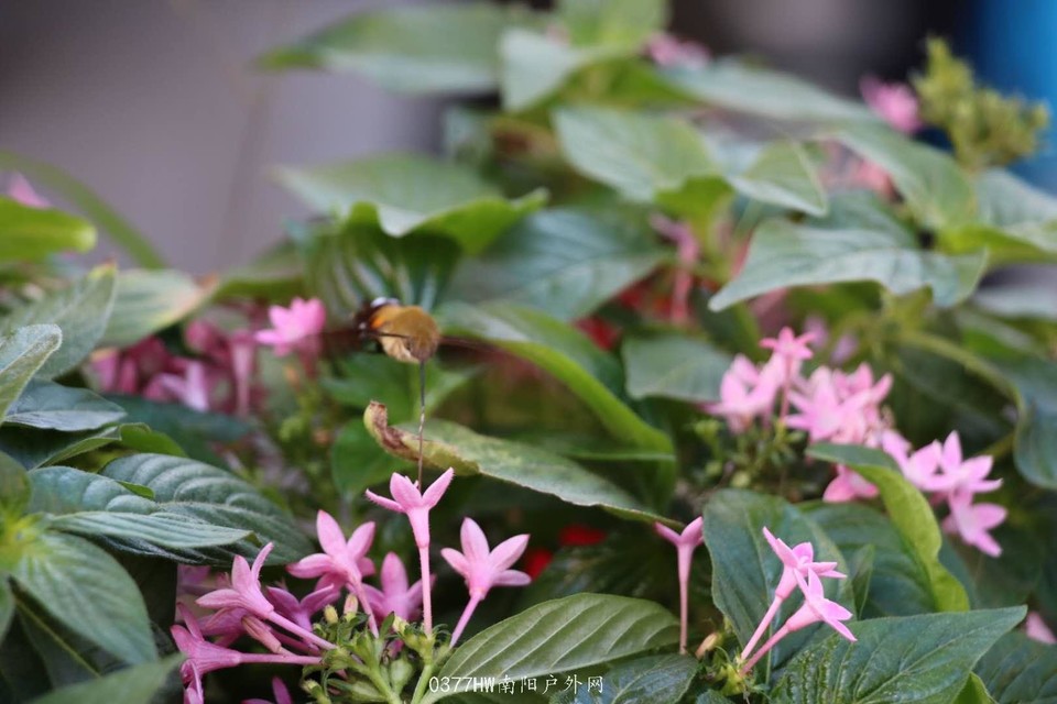 ADadeYVHeY98ykg5ynOOqfx78_TSXK4BOn5gMq02iGd8YZhYNHIiHAculyyu2BSL