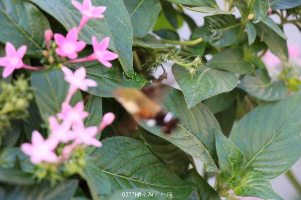 _R5HsthwvjtkHHfppp91FKFmQVtZumRjSCUBOyAn4_CkQos_P-zbivTeNodPAorh