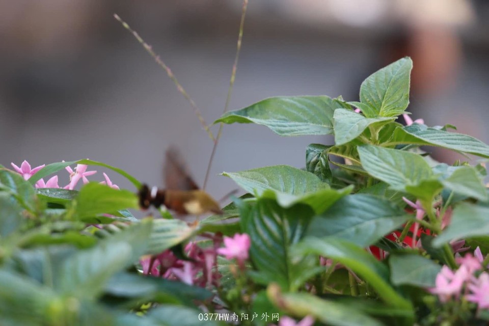 5wvOd6T57CYURk7nUpdrszucXqQ7UcToBDLTn5QLJOjhTMAQwuTZprtthJWRLLHm